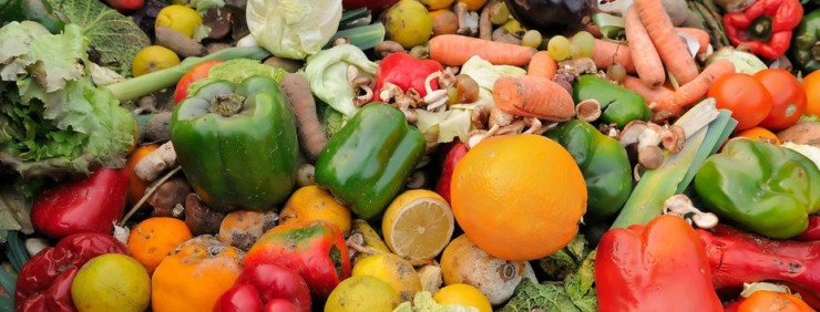 Gaspillage alimentaire